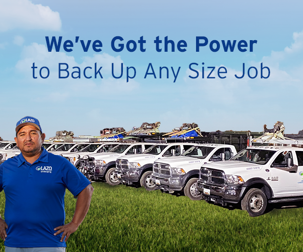 We've got the power to back up any size job