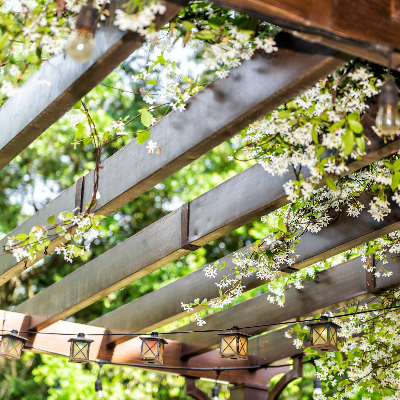 Closeup of patio outdoor spring flower garden in backyard porch of home, zen with pergola canopy wooden gazebo, plants