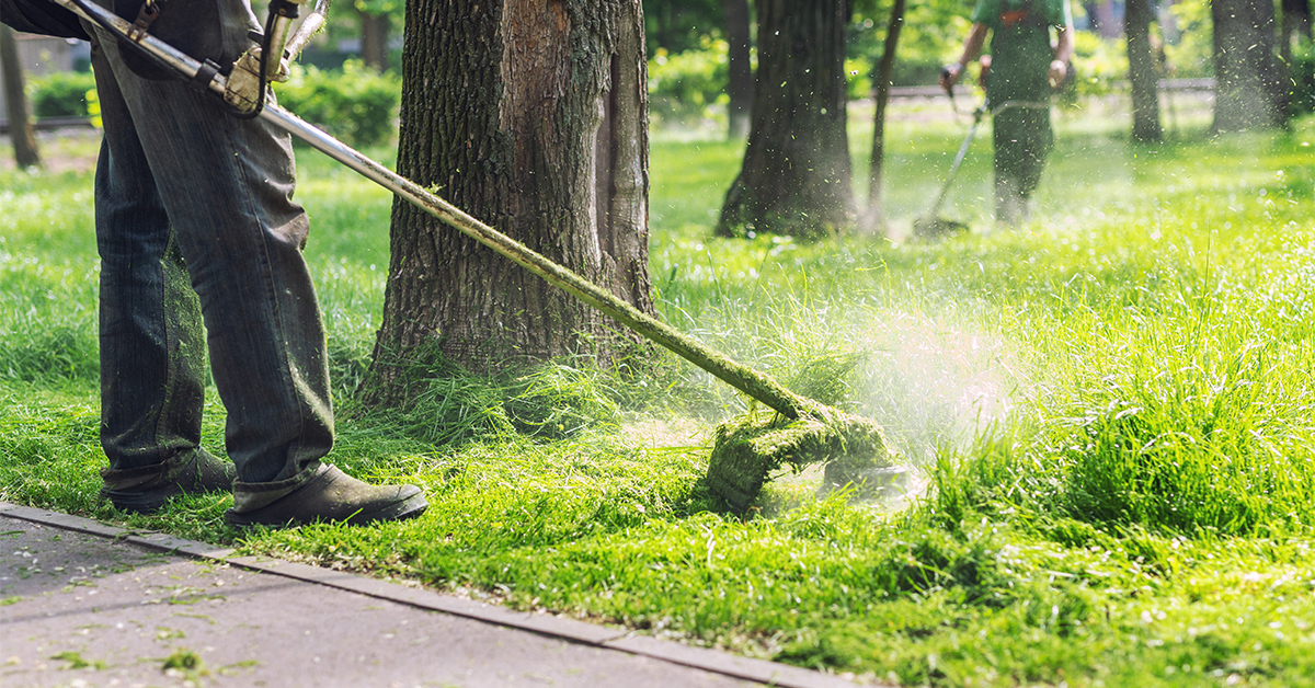 Lawn Mowing Tips For Healthy Grass Lazo Landscaping